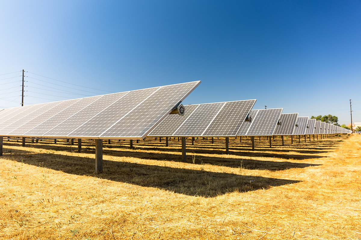 solar farm panels