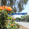 Orange roses with a welcome to UCR sign in the background